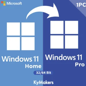 Upgrade to Windows 11 Professional