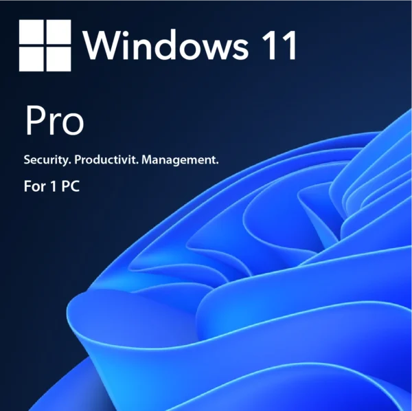 Windows 11 Professional